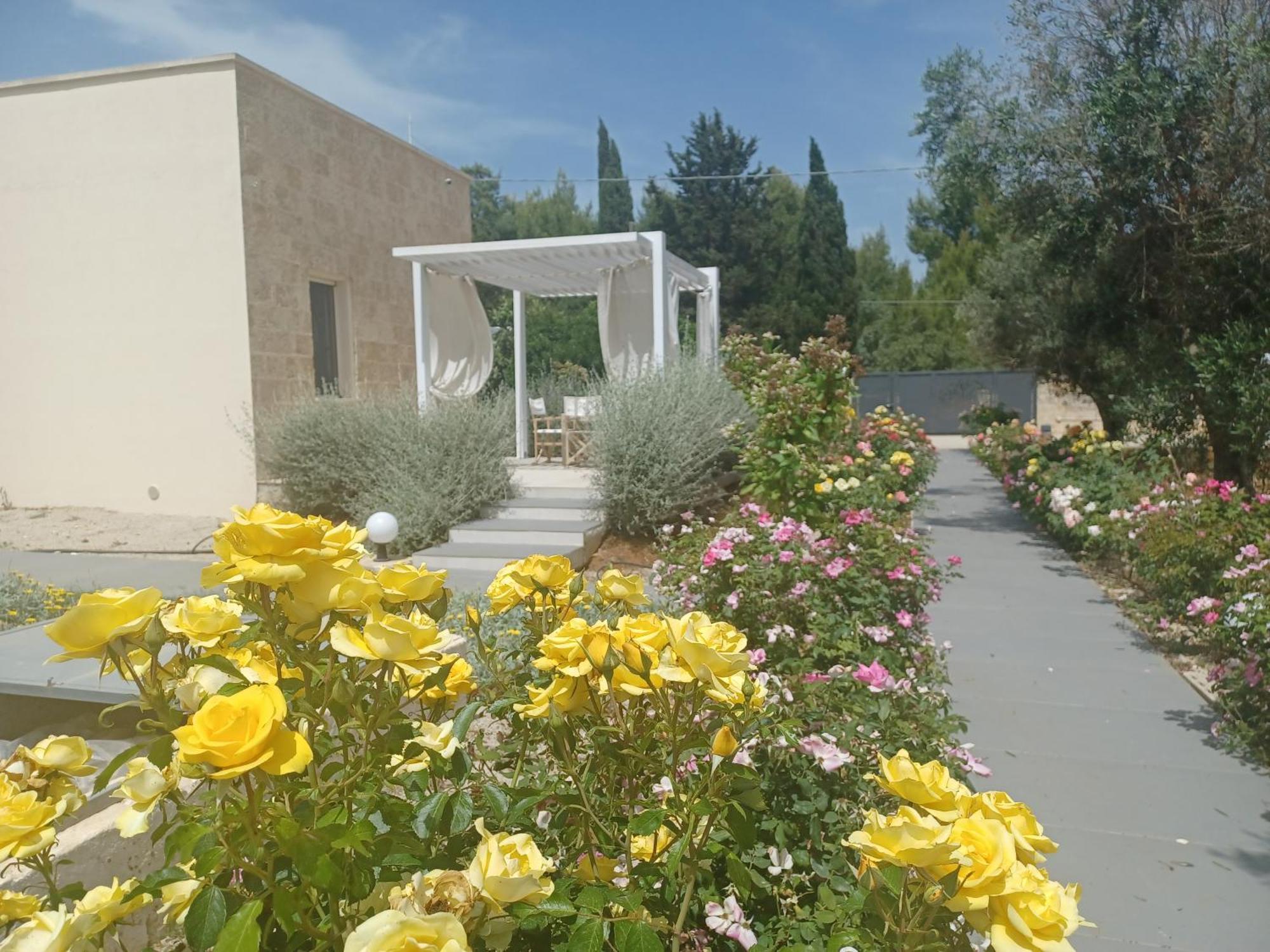 Zeituna Lodge A Porto Cesareo Torre Lapillo Exterior photo
