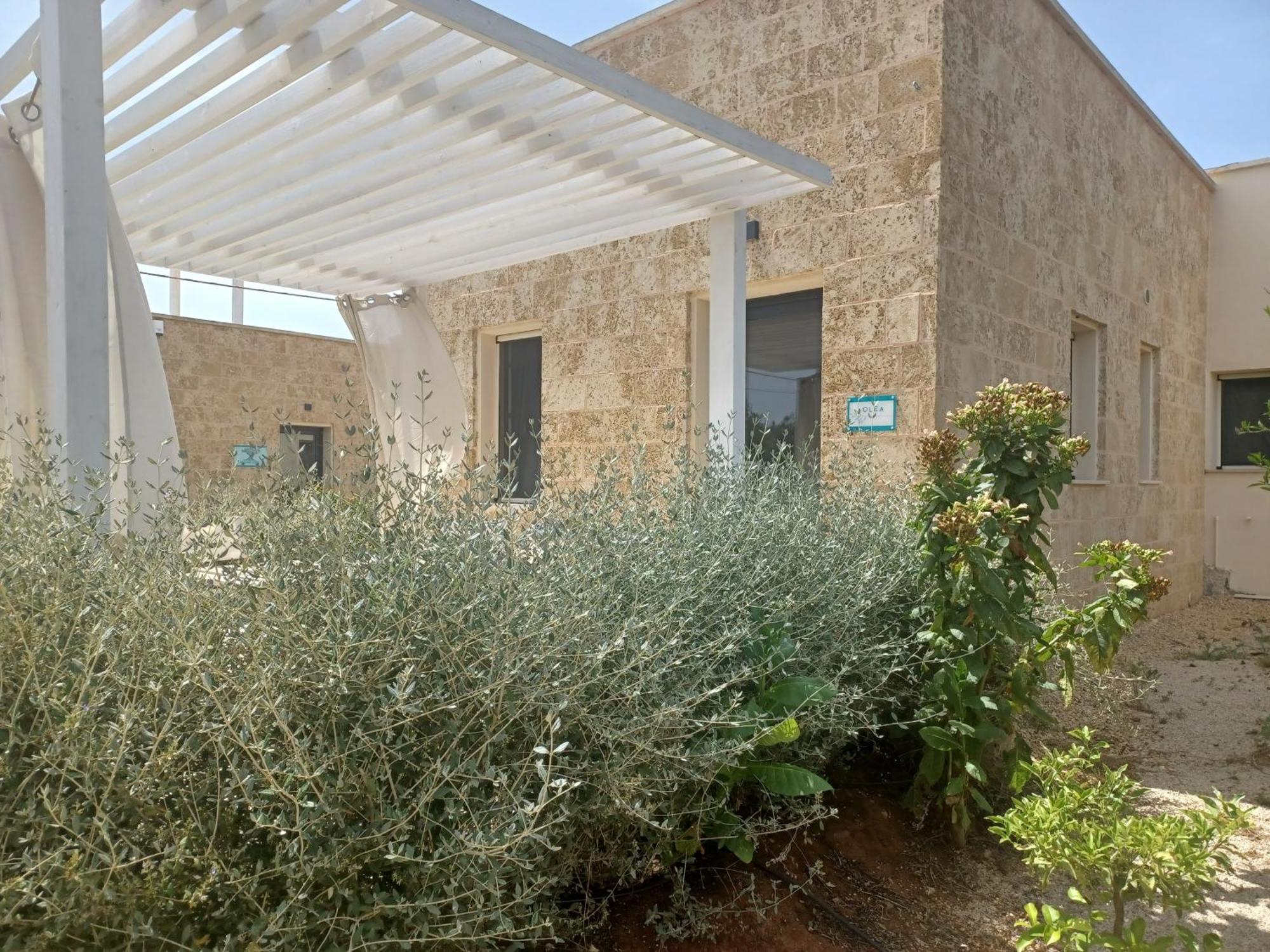 Zeituna Lodge A Porto Cesareo Torre Lapillo Exterior photo